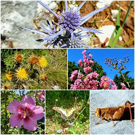 Appartement Zonnemarie Mošćenička Draga